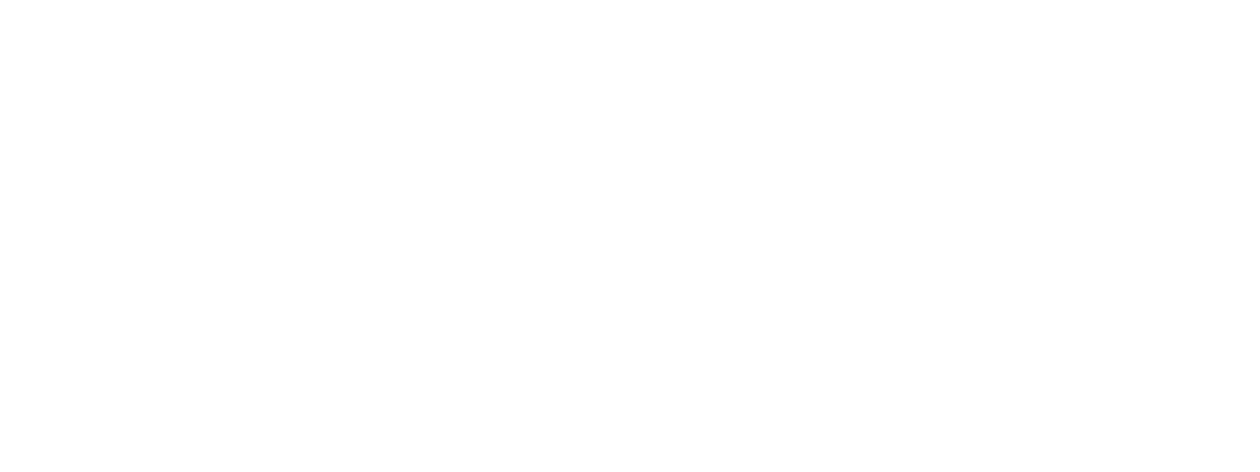 Regibel Redes